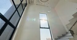 Welcome to 711: A Masterpiece of Modern Semi-Luxury Living