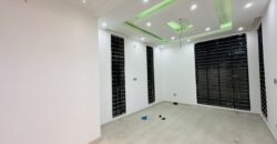 Welcome to 711: A Masterpiece of Modern Semi-Luxury Living