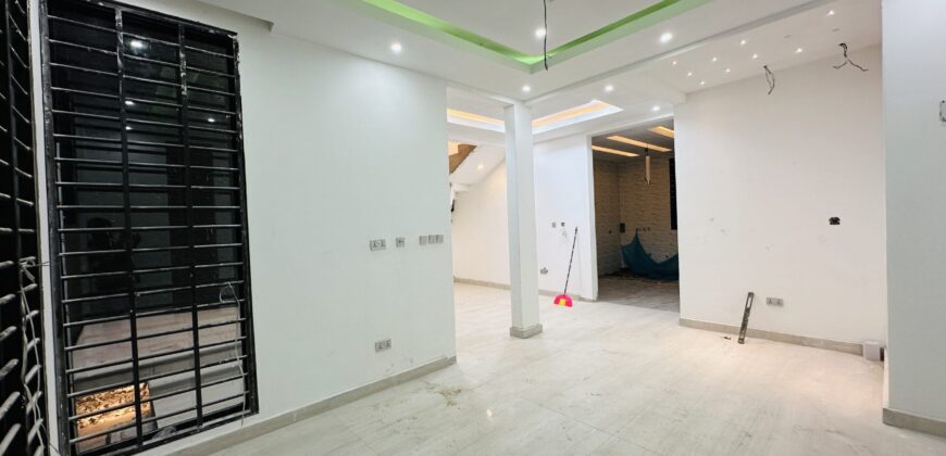 Welcome to 711: A Masterpiece of Modern Semi-Luxury Living