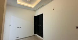 Welcome to 711: A Masterpiece of Modern Semi-Luxury Living