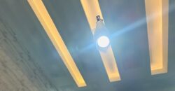 Welcome to 711: A Masterpiece of Modern Semi-Luxury Living