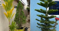 3 bedroom house furnished for sale at Spintex-Batsoona