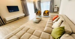 Fully Furnished house for Short stay 2bedroom Tseaddo