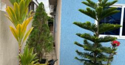 3 bedroom house furnished for sale at Spintex-Batsoona