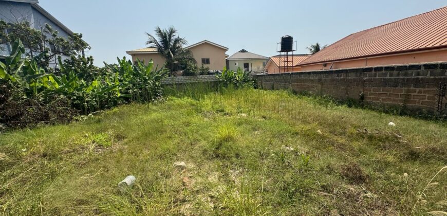 A plot for sale at Tseaddo