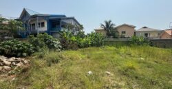 A plot for sale at Tseaddo