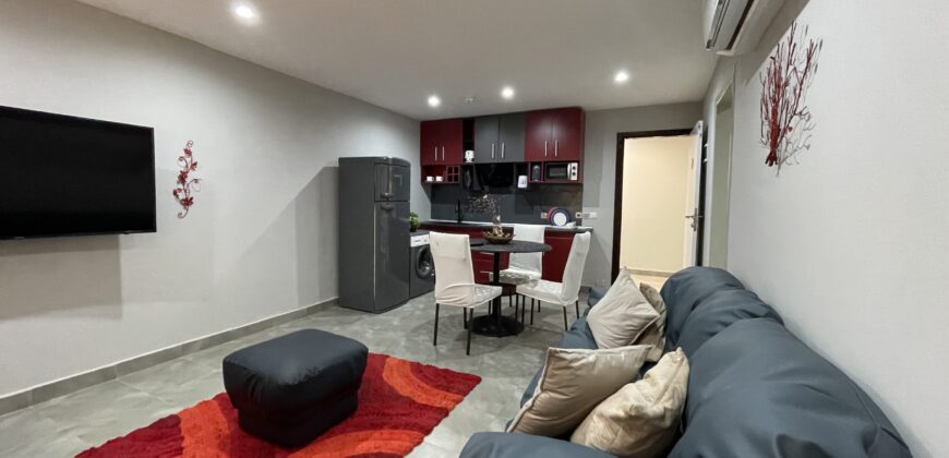 Luxurious Fully Furnished 1-Bedroom & Studio Apartments for Sale