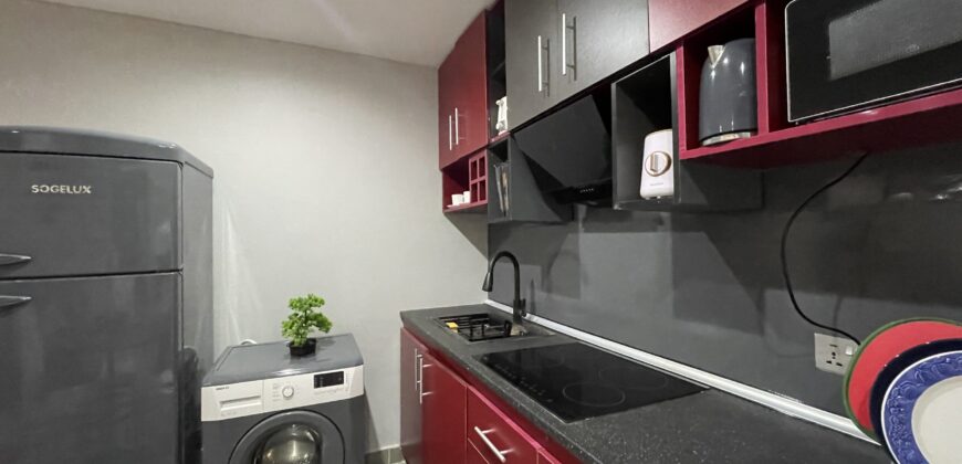 Luxurious Fully Furnished 1-Bedroom & Studio Apartments for Sale