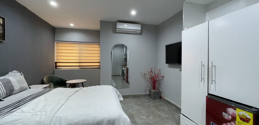 Luxurious Fully Furnished 1-Bedroom & Studio Apartments for Sale