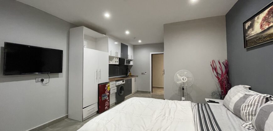 Luxurious Fully Furnished 1-Bedroom & Studio Apartments for Sale