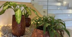 Luxury 4-Bedroom Townhouse for Rent – East Legon