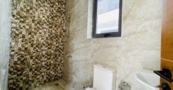 Luxurious 4-Bedroom Home with Maids Quarters for Sale – Community 16, Accra