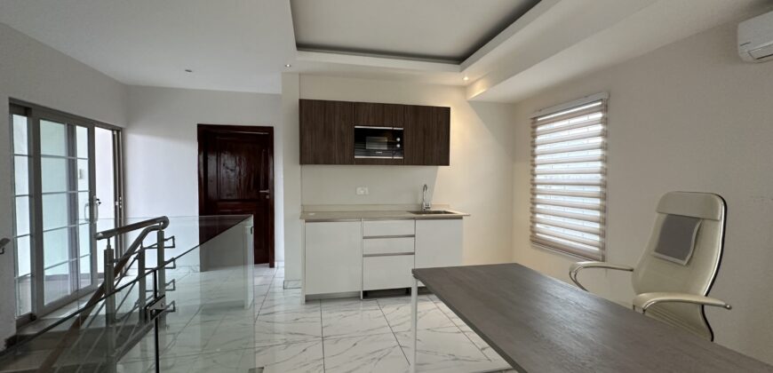 🏠FULLY FURNISHED TSEADDO EXECUTIVE 4-BEDROOM FOR SALE!