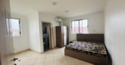 Affordable Apartments for Sale – Tseaddo (10 mins from the Airport)