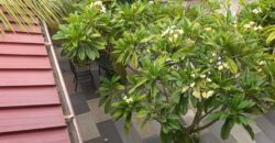 🏡 80% Completed – Beautiful & Spacious Home for Sale | Cambodia, Spintex