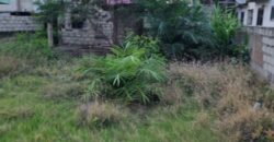 🏗️ UNCOMPLETED BUILDING FOR SALE – STATE HOUSING  A 50 x 100 ft plot with an uncompleted building situated in a State Housing area. This property comes with State Housing documents, making it a solid opportunity for investors or individuals looking to complete a project to their own taste.  💰 Price: GHS 850,000 (Negotiable) 📐 Land Size: 50 x 100 ft 📄 Documentation: State Housing Documents  Ideal for residential development or investment purposes.  📞 Contact Us  📞 Call/WhatsApp: 0257972513 📧 Email: property@billcoteyhomes.com  🌐 Website: old.billcoteyrealty.com  📲 Download App: Billcotey Realty on iOS & Android 📍 Visit Us: Off Spintex Road, Batsonaa – Opp. Dampong Hospital  Agent: Alex Dev