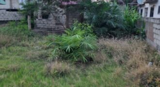 🏗️ UNCOMPLETED BUILDING FOR SALE – STATE HOUSING  A 50 x 100 ft plot with an uncompleted building situated in a State Housing area. This property comes with State Housing documents, making it a solid opportunity for investors or individuals looking to complete a project to their own taste.  💰 Price: GHS 850,000 (Negotiable) 📐 Land Size: 50 x 100 ft 📄 Documentation: State Housing Documents  Ideal for residential development or investment purposes.  📞 Contact Us  📞 Call/WhatsApp: 0257972513 📧 Email: property@billcoteyhomes.com  🌐 Website: old.billcoteyrealty.com  📲 Download App: Billcotey Realty on iOS & Android 📍 Visit Us: Off Spintex Road, Batsonaa – Opp. Dampong Hospital  Agent: Alex Dev